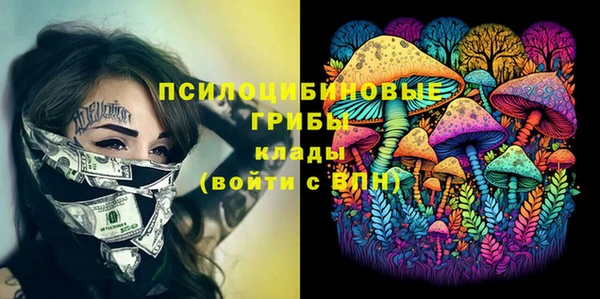 соль курить ск Белокуриха