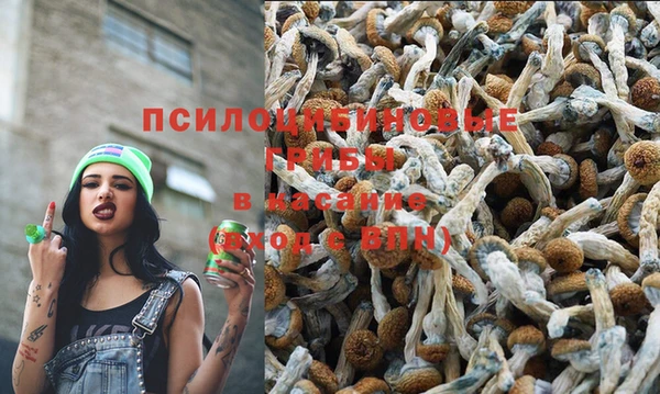 герыч Алзамай