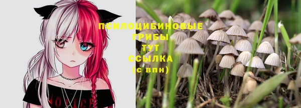 соль курить ск Белокуриха