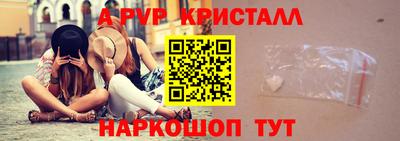 стаф Гатчина