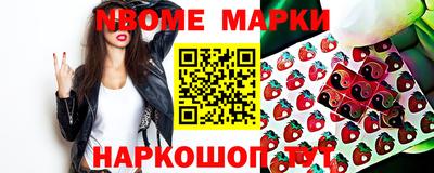 стаф Гатчина