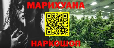 стаф Гатчина