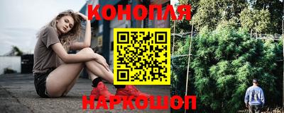 стаф Гатчина