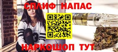 стаф Гатчина